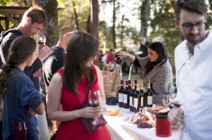 San Cresci wine tasting